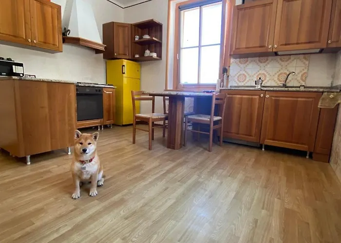 Apartment Le Gemelle Cave del Predil